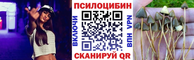 Псилоцибиновые грибы мицелий  Знаменск 