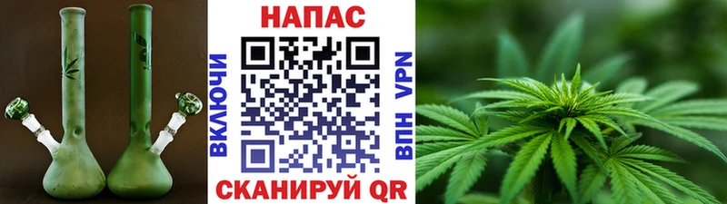 Бошки марихуана планчик закладки Знаменск